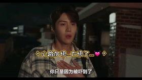 绝不后悔在线观看中字,勇敢抉择，无悔人生  第2张